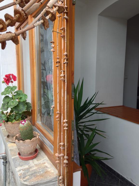 Petra Apartmanok Велем Стая снимка